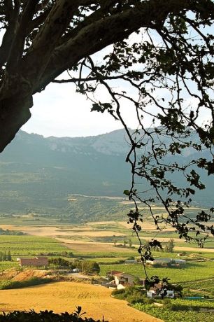 Landschap La Rioja Landschap La Rioja